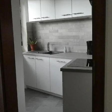 Am Hirschpark Apartment