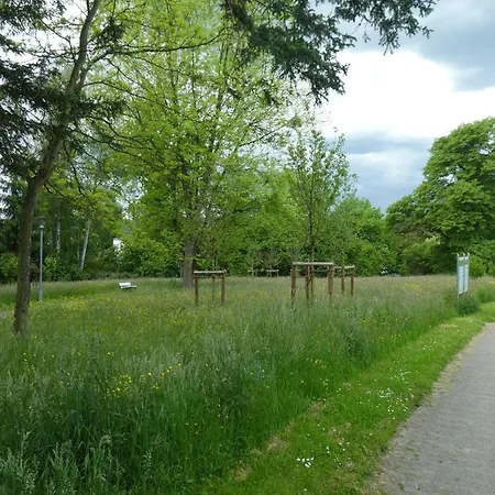 Am Hirschpark Apartment